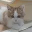AKIのプロフィール画像