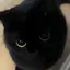 とまとのプロフィール画像