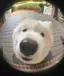 hazのプロフィール画像