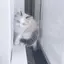 akaneのプロフィール画像