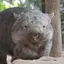 (≧∇≦)のプロフィール画像