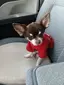 ☆morita ☆のプロフィール画像