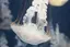 miiiiのプロフィール画像