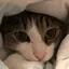 ＊kayo＊のプロフィール画像