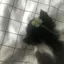 梓未のプロフィール画像