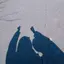 たまのプロフィール画像