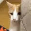 みあのプロフィール画像