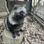hのプロフィール画像