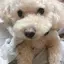 ゆゆゆのプロフィール画像