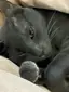 みかのプロフィール画像