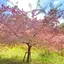 白兎のプロフィール画像