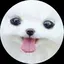 瑠衣のプロフィール画像