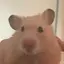 りのプロフィール画像