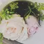 eriのプロフィール画像