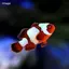 haruのプロフィール画像