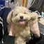 まりあのプロフィール画像