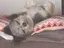 まいこのプロフィール画像