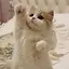 なのプロフィール画像