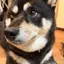 うぃーのプロフィール画像