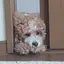 ぬんのプロフィール画像