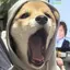 aのプロフィール画像