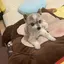 千賀子のプロフィール画像