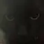猫のプロフィール画像