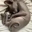 うのプロフィール画像