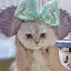 みのプロフィール画像