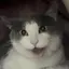 なのプロフィール画像