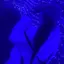 真央のプロフィール画像