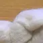 ちこのプロフィール画像
