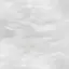 Nのプロフィール画像