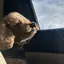 keiのプロフィール画像