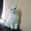 uraraのプロフィール画像