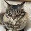 大澤のプロフィール画像