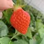 mmmのプロフィール画像
