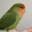 りんかのプロフィール画像
