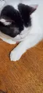 ごぼちゃんのプロフィール画像