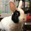 ゆうのプロフィール画像