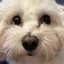 うのプロフィール画像