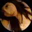 ことみのプロフィール画像