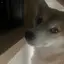 ゆうなのプロフィール画像