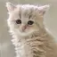 ちゃみのプロフィール画像