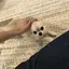 ゆのプロフィール画像