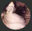 すいちゃんのプロフィール画像