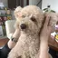 Annieのプロフィール画像