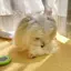 みくのプロフィール画像
