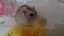 ゆかりのプロフィール画像