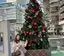 maiのプロフィール画像